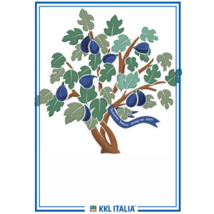 diploma della vita