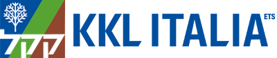 Donisolidali KKLItalia